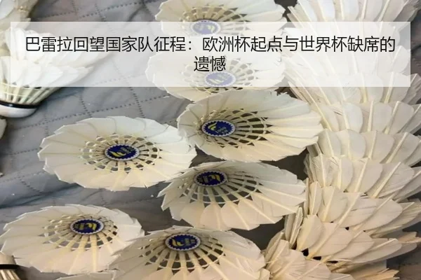 巴雷拉回望国家队征程：欧洲杯起点与世界杯缺席的遗憾