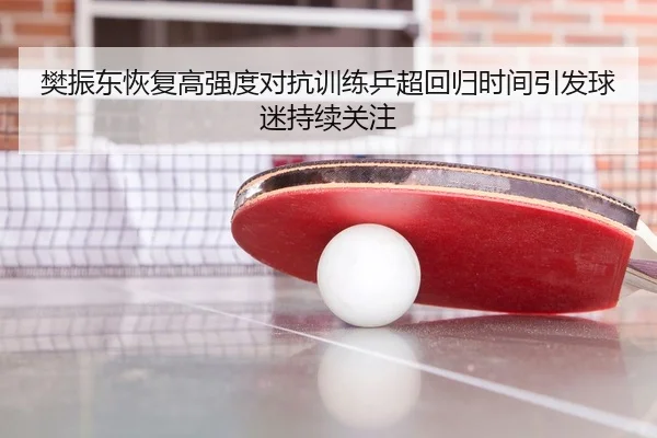 樊振东恢复高强度对抗训练乒超回归时间引发球迷持续关注